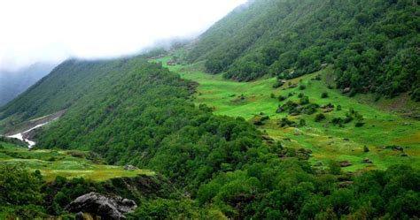 Nanda Devi National Park, Joshimath - Times of India Travel