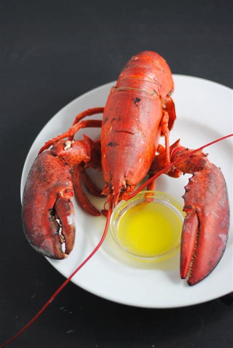 Perfectly steamed lobster | white plate blank slate