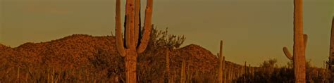 Saguaro National Park - Wikitravel