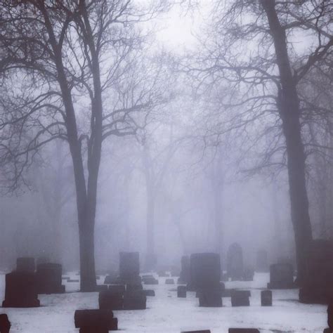 Cemetery shrouded in fog : creepy