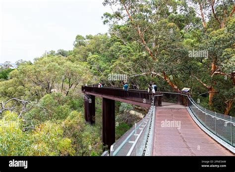 Lotterywest federation walkway in Kings Park, Perth Stock Photo - Alamy