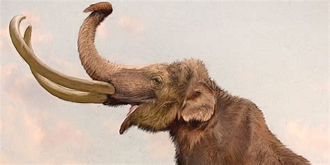 North American mammoths likely interbred with one | Earth Archives