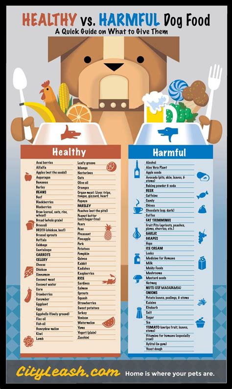 A quick guide on what kinds of food to give your dogs. | 4Knines | Dogs | Healthy Dog Food | Dog ...