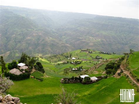 a lush green hillside covered in lots of trees and grass with houses on the hill side