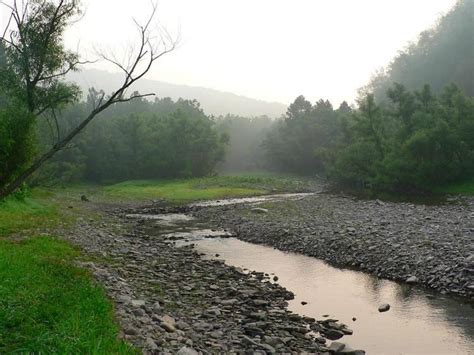 Savage River Reservoir - Alchetron, The Free Social Encyclopedia