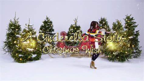 A Cinderella Story: Christmas Wish | Film and Television Wikia | Fandom