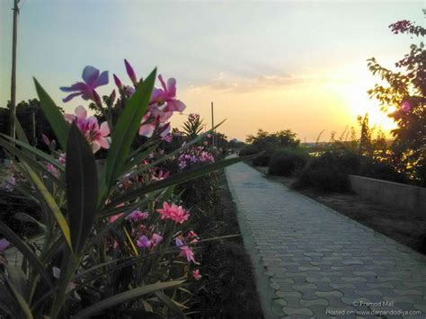 Hamirsar Lake Bhuj And Khengar Park, Places to Visit in Kutch Bhuj ...