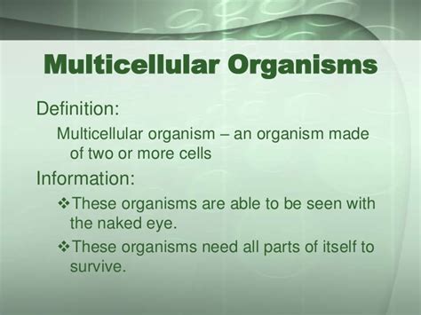 Lesson 5: Unicellular and Multicellular Organisms - Ms. Plank: Grade 7/8