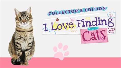 I Love Finding Cats! - Collector's Edition for Nintendo Switch - Nintendo Official Site