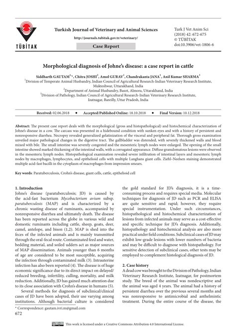 (PDF) Morphological diagnosis of Johne's disease: A case report in cattle