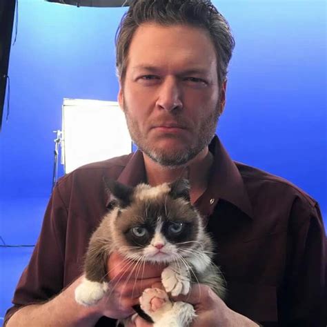 They both say no. Grumpy Cat and Blake Shelton Grumpy Cat Humor, Cat Memes, Grumpy Kitty, Kitty ...