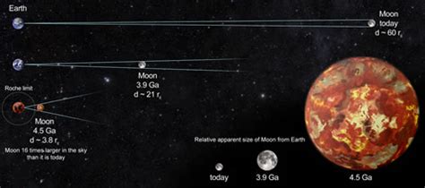 Impact Cratering on the Hadean Earth