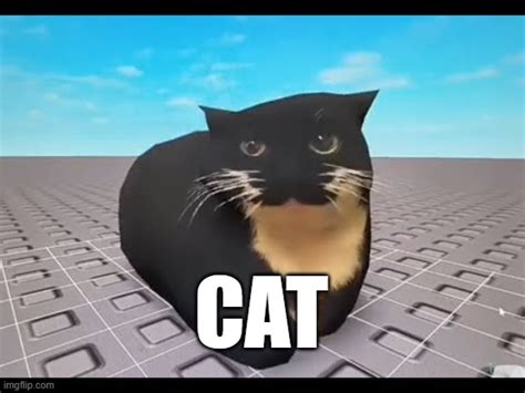 Maxwell cat Memes - Imgflip