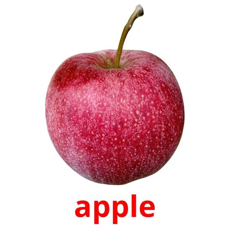 20 FREE Fruits Flashcards | PDF | English Words