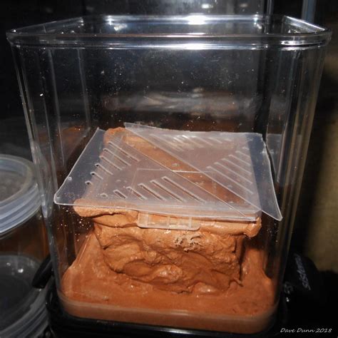 Formicarium DIY Try #1 - General Ant Keeping - Ants & Myrmecology Forum