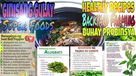 SUPER FOODS| HEALTHY RECIPES | GINISANG GULAY | BUHAY PROBINSYA | ALUGBATI | KULITIS | KAMOTE ...