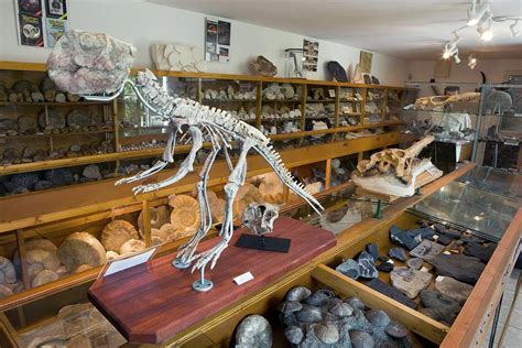 Fossil Museum Photograph by Pascal Goetgheluck/science Photo Library | Fine Art America