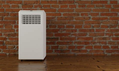 5 Best Crawl Space Dehumidifier | Reviews + Guide