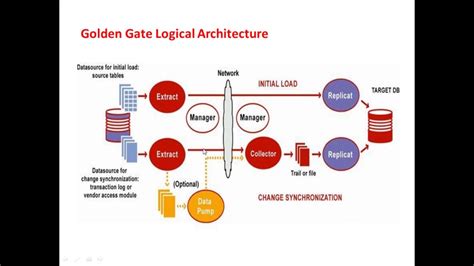 Anillo duro Escultor haz oracle golden gate architecture diagram Limpiar el piso podar Canguro