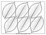 6 Leaves Of American Elm Template  Free Printable Papercraft Templates sketch template