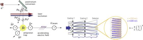 Outline of the antihydrogen formation process and gravity measurement ...