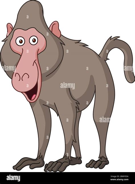 Primate Stock Vector Images - Alamy