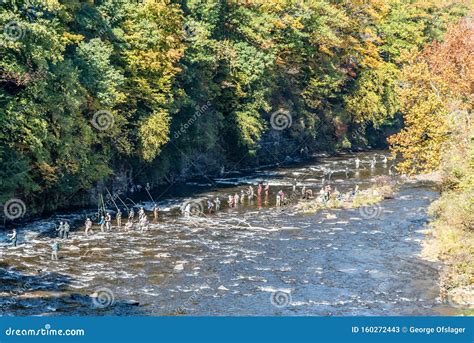 Salmon Fisherman on the Salmon River, New York Stock Image - Image of ...