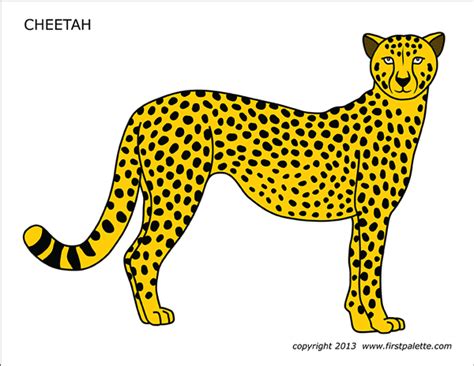 Cheetah | Free Printable Templates & Coloring Pages | FirstPalette.com