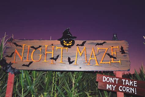 PumpkinFest’s new maze lacks fright at night - The Poly Post