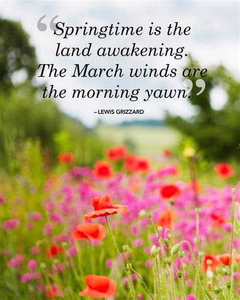 25 Beautiful Quotes That Will Give You Spring Fever | The morning, Spring and Quotes