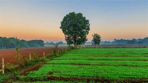 Rural Farm in India : r/ruralporn