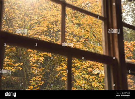 Cosy fall hi-res stock photography and images - Alamy