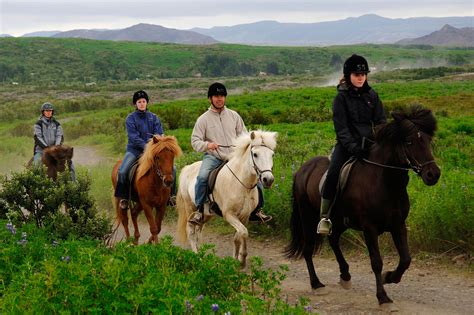 Horseback Riding Tours in Iceland | Horse Riding | Arctic Adventures