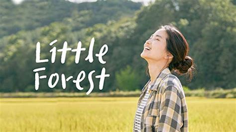 Little Forest (Filme)