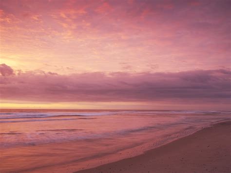 Pink Beach Sunset Wallpaper (72+ images)