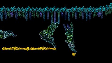 Molecular Machines – Revolutionary