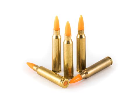 .223 Dummy Ammo Training Inert Rounds by Newbold | Concealed Carry Inc