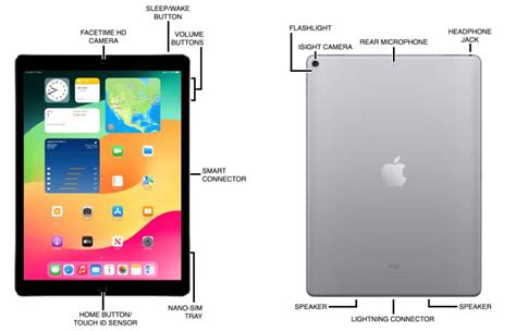 Apple iPad Pro 11-inch 2nd Gen (2020) Diagram - AT&T Device Support