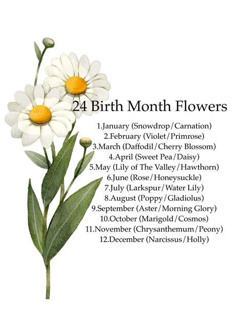 Birth Month Flower Chart Birth Flower Poster Floral Nursery Decor ...