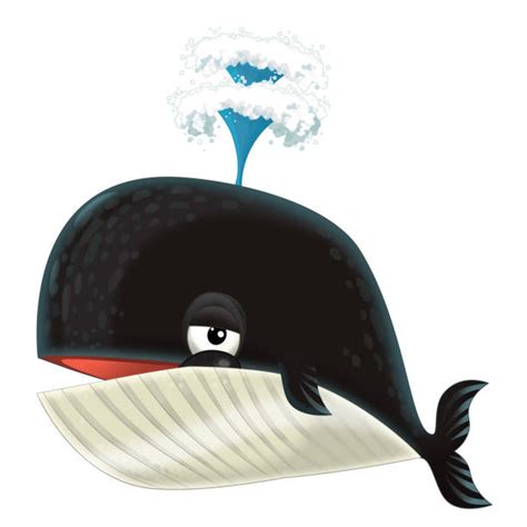 900+ Whale Spout Illustrations, Royalty-Free Vector Graphics & Clip Art - iStock