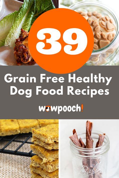 39 Healthy Homemade (Grain-free) Dog Food Recipes Your Dog Will Love ...