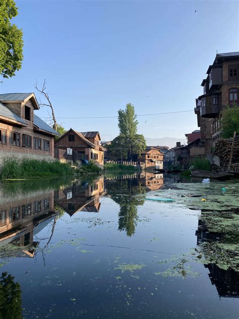 A Beautiful Boat Ride in Kashmir