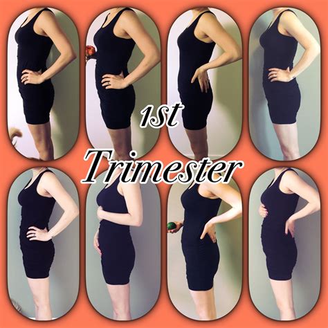 First Trimester Baby Bump Progress | Weeks 5 to 12