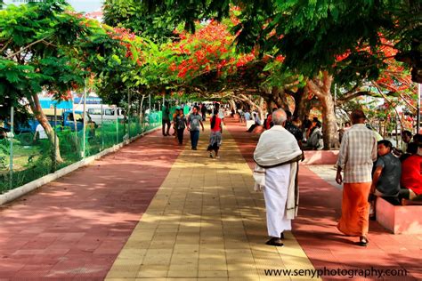 Marine Drive Walkway (Kochi)