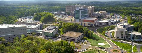 About Us | University of Connecticut Health Leaders (UCHL)