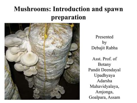 mushroom Spawn preparation | PPT