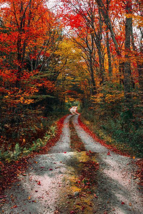 The New England Guide to Leaf Peeping - Classy Girls Wear Pearls ...