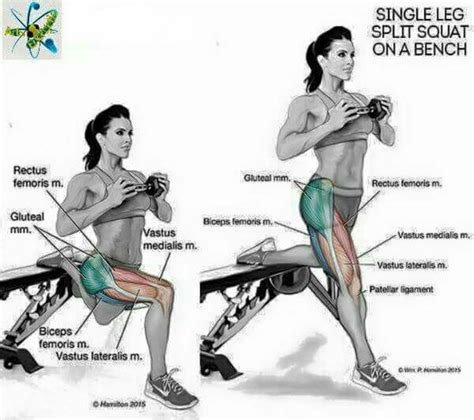 Vastus Medialis Oblique Exercises