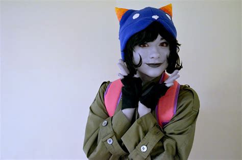 nepeta leijon by plantisoy on DeviantArt