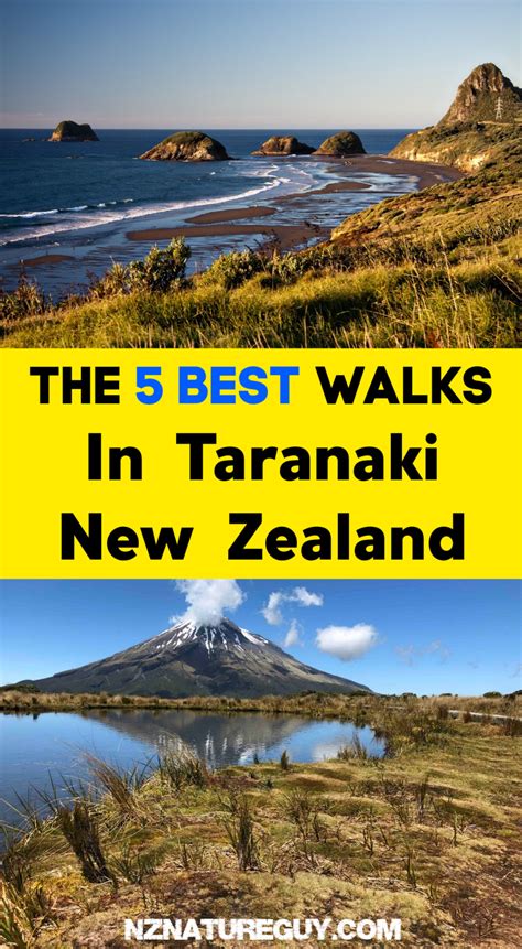 5 Best Taranaki Walks - Beaches & Volcanoes! - New Zealand Nature Guy